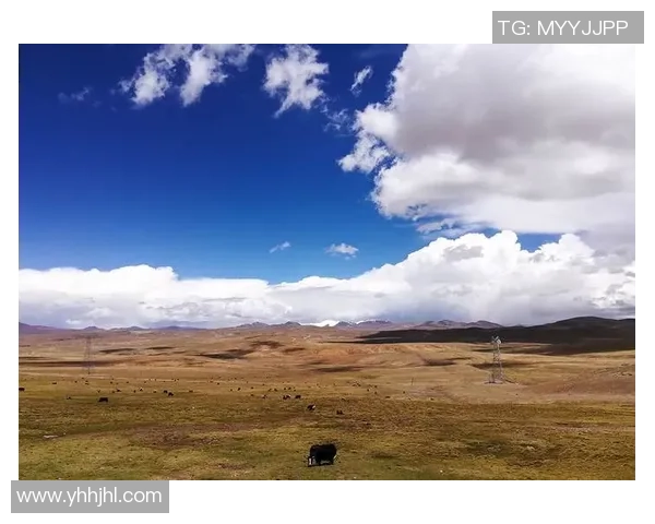 足球星背影定格瞬间见证辉煌旅程从此起航